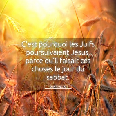 Picture 05 - Jean 5:16 LSG - C'est pourquoi les Juifs poursuivaient Jésus, - Bible Verse Picture
