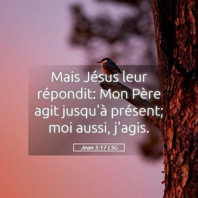 Picture 05 - Jean 5:17 LSG - Mais Jésus leur répondit: Mon Père agit - Bible Verse Picture