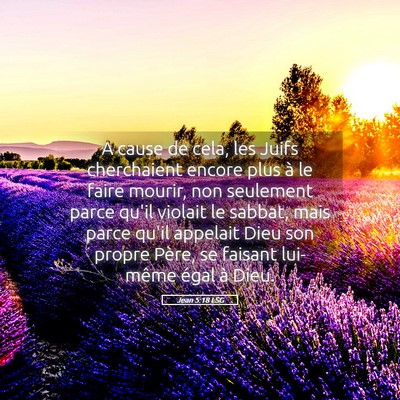 Picture 05 - Jean 5:18 LSG - A cause de cela, les Juifs cherchaient encore - Bible Verse Picture
