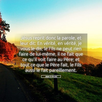 Picture 05 - Jean 5:19 LSG - Jésus reprit donc la parole, et leur dit: En - Bible Verse Picture