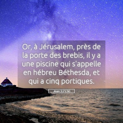 Picture 05 - Jean 5:2 LSG - Or, à Jérusalem, près de la porte des brebis, - Bible Verse Picture