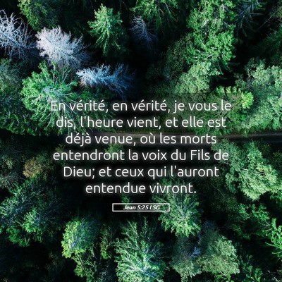 Picture 05 - Jean 5:25 LSG - En vérité, en vérité, je vous le dis, l'heure - Bible Verse Picture