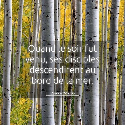 Picture 05 - Jean 6:16 LSG - Quand le soir fut venu, ses disciples - Bible Verse Picture