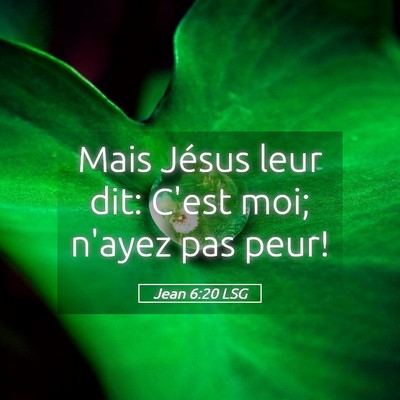 Picture 05 - Jean 6:20 LSG - Mais Jésus leur dit: C'est moi; n'ayez pas - Bible Verse Picture