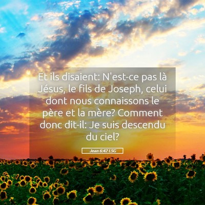Picture 05 - Jean 6:42 LSG - Et ils disaient: N'est-ce pas là Jésus, le fils - Bible Verse Picture