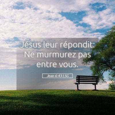 Picture 05 - Jean 6:43 LSG - Jésus leur répondit: Ne murmurez pas entre - Bible Verse Picture
