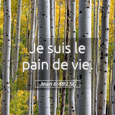 Picture 05 - Jean 6:48 LSG - Je suis le pain de - Bible Verse Picture