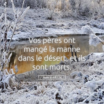 Picture 05 - Jean 6:49 LSG - Vos pères ont mangé la manne dans le désert, - Bible Verse Picture