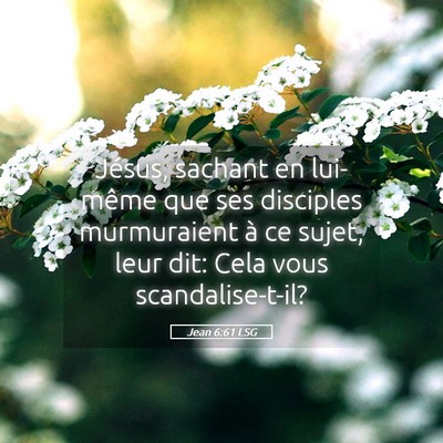 Picture 05 - Jean 6:61 LSG - Jésus, sachant en lui-même que ses disciples - Bible Verse Picture
