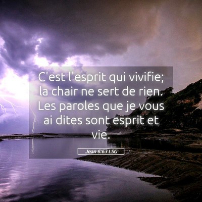 Picture 05 - Jean 6:63 LSG - C'est l'esprit qui vivifie; la chair ne sert de - Bible Verse Picture