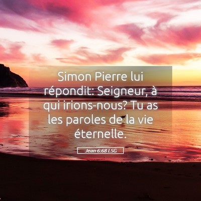 Picture 05 - Jean 6:68 LSG - Simon Pierre lui répondit: Seigneur, à qui - Bible Verse Picture