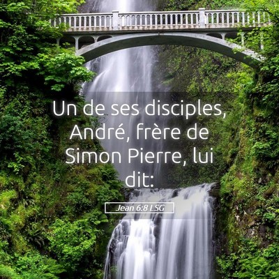 Picture 05 - Jean 6:8 LSG - Un de ses disciples, André, frère de Simon - Bible Verse Picture