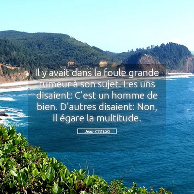 Picture 05 - Jean 7:12 LSG - Il y avait dans la foule grande rumeur à son - Bible Verse Picture