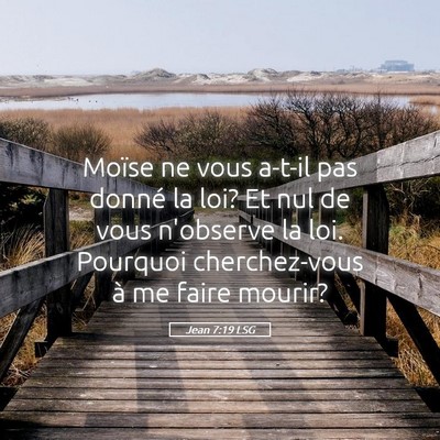 Picture 05 - Jean 7:19 LSG - Moïse ne vous a-t-il pas donné la loi? Et nul - Bible Verse Picture