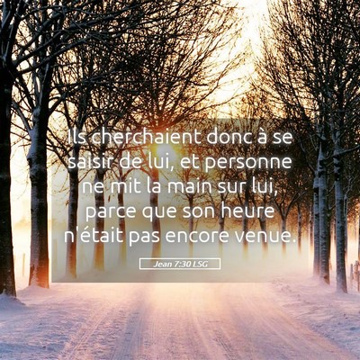 Picture 05 - Jean 7:30 LSG - Ils cherchaient donc à se saisir de lui, et - Bible Verse Picture