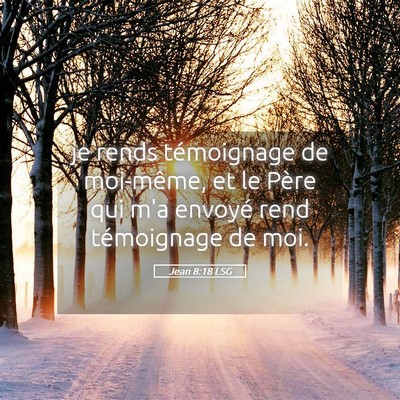 Picture 05 - Jean 8:18 LSG - je rends témoignage de moi-même, et le Père - Bible Verse Picture