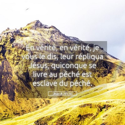 Picture 05 - Jean 8:34 LSG - En vérité, en vérité, je vous le dis, leur - Bible Verse Picture