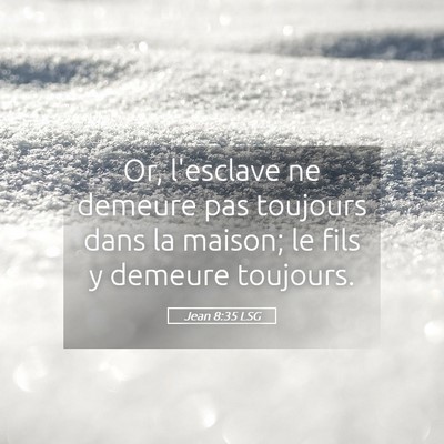 Picture 05 - Jean 8:35 LSG - Or, l'esclave ne demeure pas toujours dans la - Bible Verse Picture