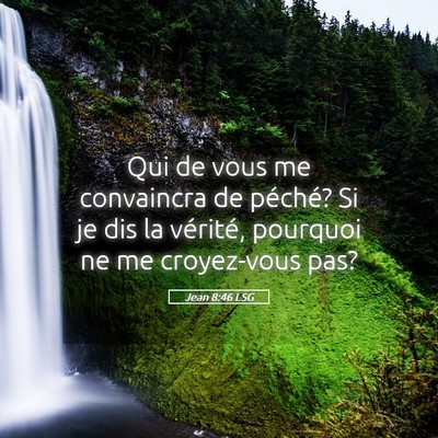 Picture 05 - Jean 8:46 LSG - Qui de vous me convaincra de péché? Si je dis - Bible Verse Picture