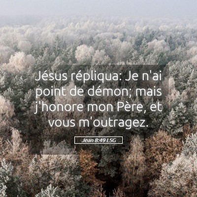 Picture 05 - Jean 8:49 LSG - Jésus répliqua: Je n'ai point de démon; mais - Bible Verse Picture