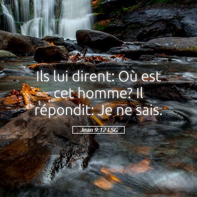 Picture 05 - Jean 9:12 LSG - Ils lui dirent: Où est cet homme? Il répondit: - Bible Verse Picture