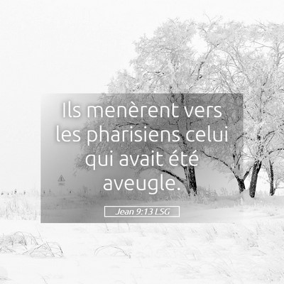 Picture 05 - Jean 9:13 LSG - Ils menèrent vers les pharisiens celui qui avait - Bible Verse Picture
