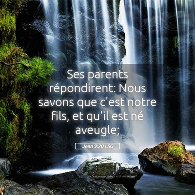 Picture 05 - Jean 9:20 LSG - Ses parents répondirent: Nous savons que c'est - Bible Verse Picture
