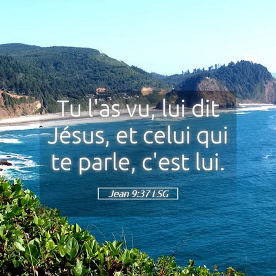 Picture 05 - Jean 9:37 LSG - Tu l'as vu, lui dit Jésus, et celui qui te - Bible Verse Picture