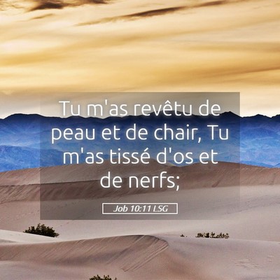 Picture 05 - Job 10:11 LSG - Tu m'as revêtu de peau et de chair, Tu m'as - Bible Verse Picture