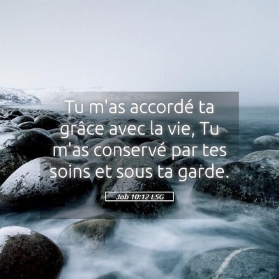 Picture 05 - Job 10:12 LSG - Tu m'as accordé ta grâce avec la vie, Tu m'as - Bible Verse Picture