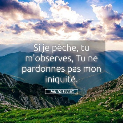 Picture 05 - Job 10:14 LSG - Si je pèche, tu m'observes, Tu ne pardonnes pas - Bible Verse Picture