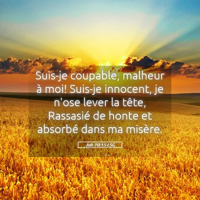 Picture 05 - Job 10:15 LSG - Suis-je coupable, malheur à moi! Suis-je - Bible Verse Picture