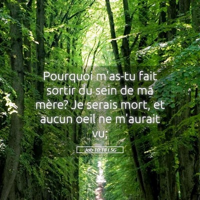 Picture 05 - Job 10:18 LSG - Pourquoi m'as-tu fait sortir du sein de ma mère? - Bible Verse Picture
