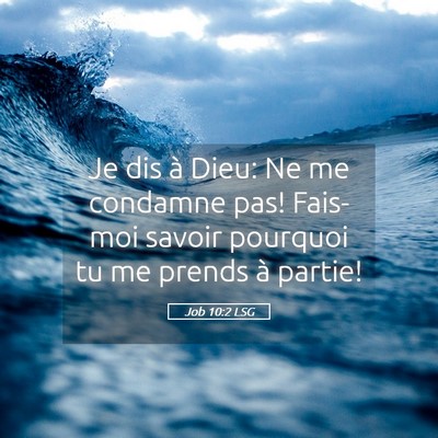 Picture 05 - Job 10:2 LSG - Je dis à Dieu: Ne me condamne pas! Fais-moi - Bible Verse Picture