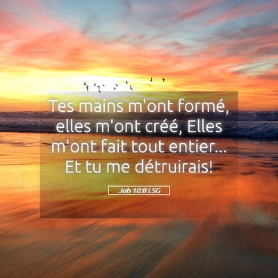 Picture 05 - Job 10:8 LSG - Tes mains m'ont formé, elles m'ont créé, Elles - Bible Verse Picture