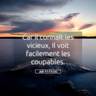 Picture 05 - Job 11:11 LSG - Car il connaît les vicieux, Il voit facilement - Bible Verse Picture
