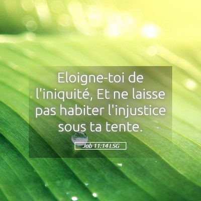 Picture 05 - Job 11:14 LSG - Eloigne-toi de l'iniquité, Et ne laisse pas - Bible Verse Picture