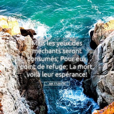 Picture 05 - Job 11:20 LSG - Mais les yeux des méchants seront consumés; - Bible Verse Picture