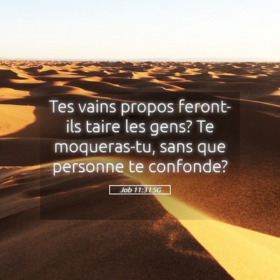 Picture 05 - Job 11:3 LSG - Tes vains propos feront-ils taire les gens? Te - Bible Verse Picture