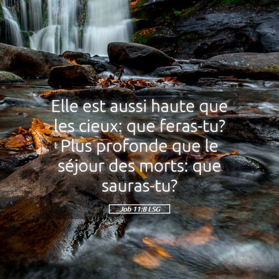 Picture 05 - Job 11:8 LSG - Elle est aussi haute que les cieux: que feras-tu? - Bible Verse Picture