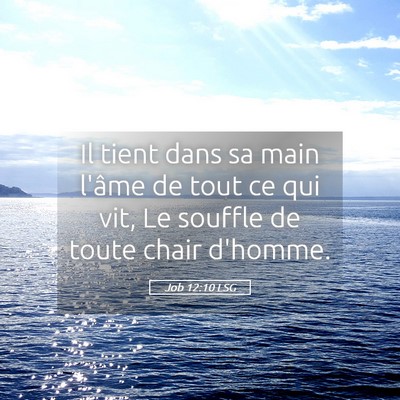 Picture 05 - Job 12:10 LSG - Il tient dans sa main l'âme de tout ce qui vit, - Bible Verse Picture