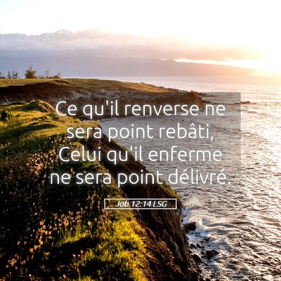 Picture 05 - Job 12:14 LSG - Ce qu'il renverse ne sera point rebâti, Celui - Bible Verse Picture
