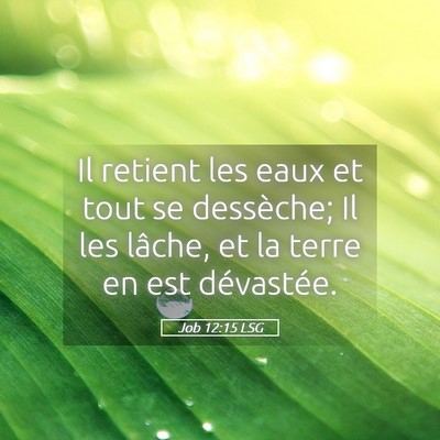 Picture 05 - Job 12:15 LSG - Il retient les eaux et tout se dessèche; Il les - Bible Verse Picture