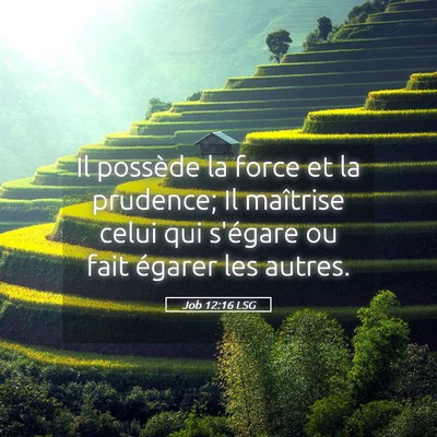 Picture 05 - Job 12:16 LSG - Il possède la force et la prudence; Il maîtrise - Bible Verse Picture