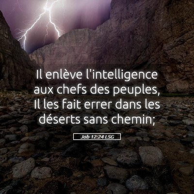 Picture 05 - Job 12:24 LSG - Il enlève l'intelligence aux chefs des peuples, - Bible Verse Picture