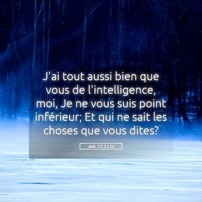 Picture 05 - Job 12:3 LSG - J'ai tout aussi bien que vous de l'intelligence, - Bible Verse Picture