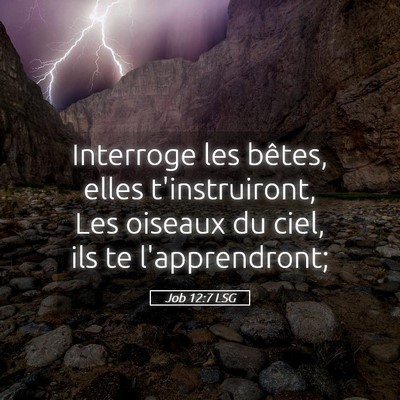 Picture 05 - Job 12:7 LSG - Interroge les bêtes, elles t'instruiront, Les - Bible Verse Picture