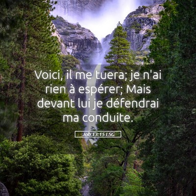 Picture 05 - Job 13:15 LSG - Voici, il me tuera; je n'ai rien à espérer; - Bible Verse Picture