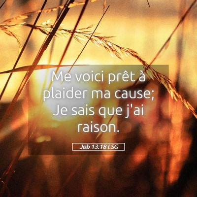 Picture 05 - Job 13:18 LSG - Me voici prêt à plaider ma cause; Je sais que - Bible Verse Picture
