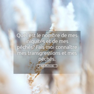 Picture 05 - Job 13:23 LSG - Quel est le nombre de mes iniquités et de mes - Bible Verse Picture